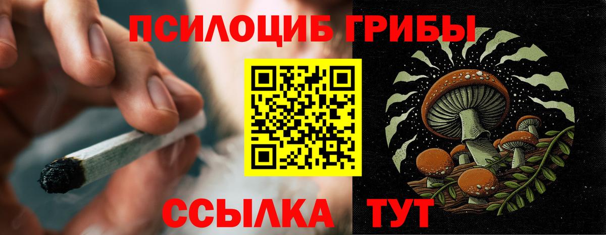 Псилоцибиновые грибы GOLDEN TEACHER  Вход с VPN  Шарыпово 